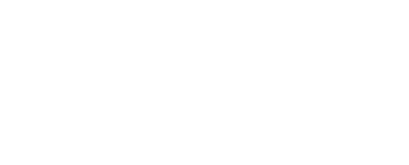 Texas Surplus Auctions